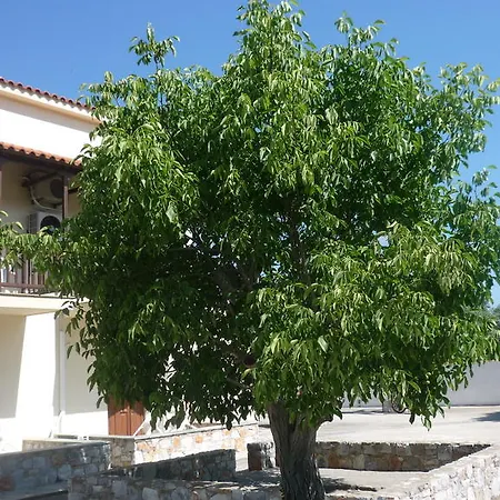 Nautilus βραχυχρονια μισθωση Skopelos Town